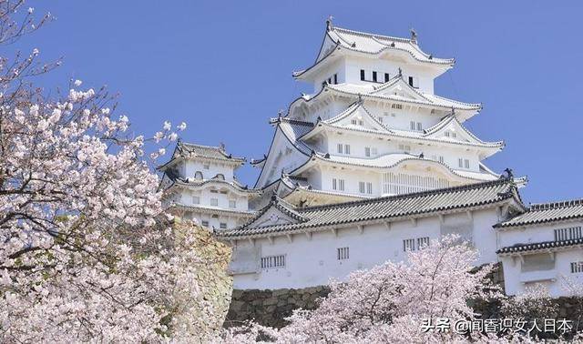 日本三大名景,三大瀑布,三大夜景,三大名城,三大庭园去过多少_奈良