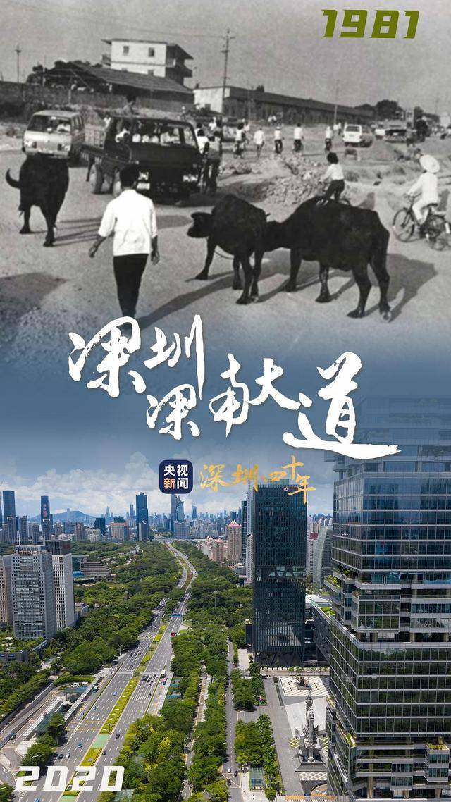 图览深圳经济特区40年沧海桑田