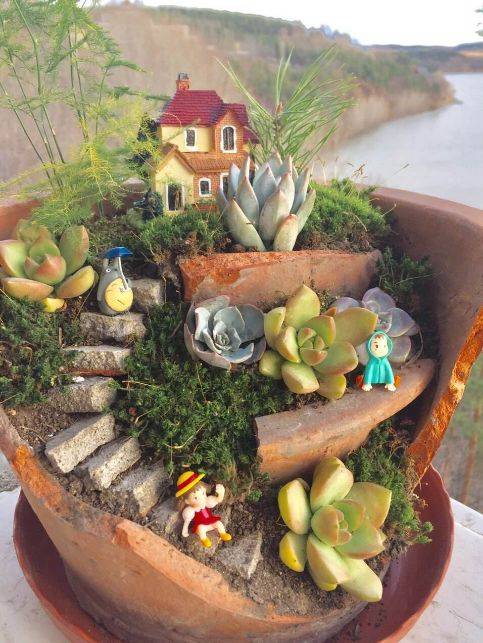 养多肉的盆破了怎么办不要着急高手教给你解决办法巧夺天工