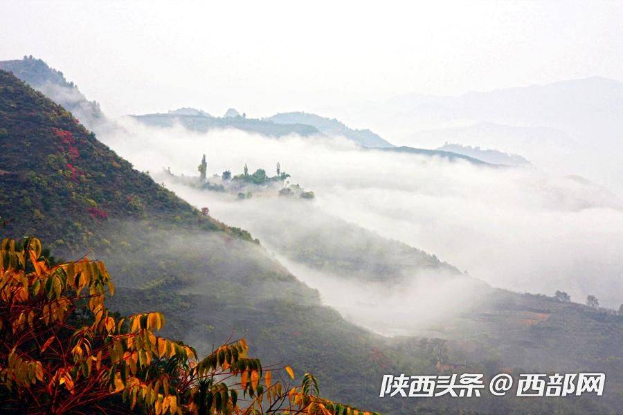 酒奠梁,位于陕西省凤县距县城12公里,海拔1734