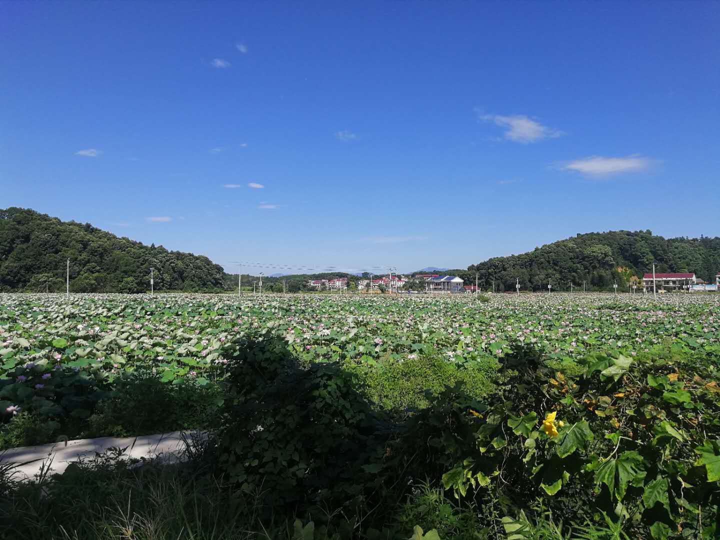 夢迴龍匣那裡只有南溪沒有江湖