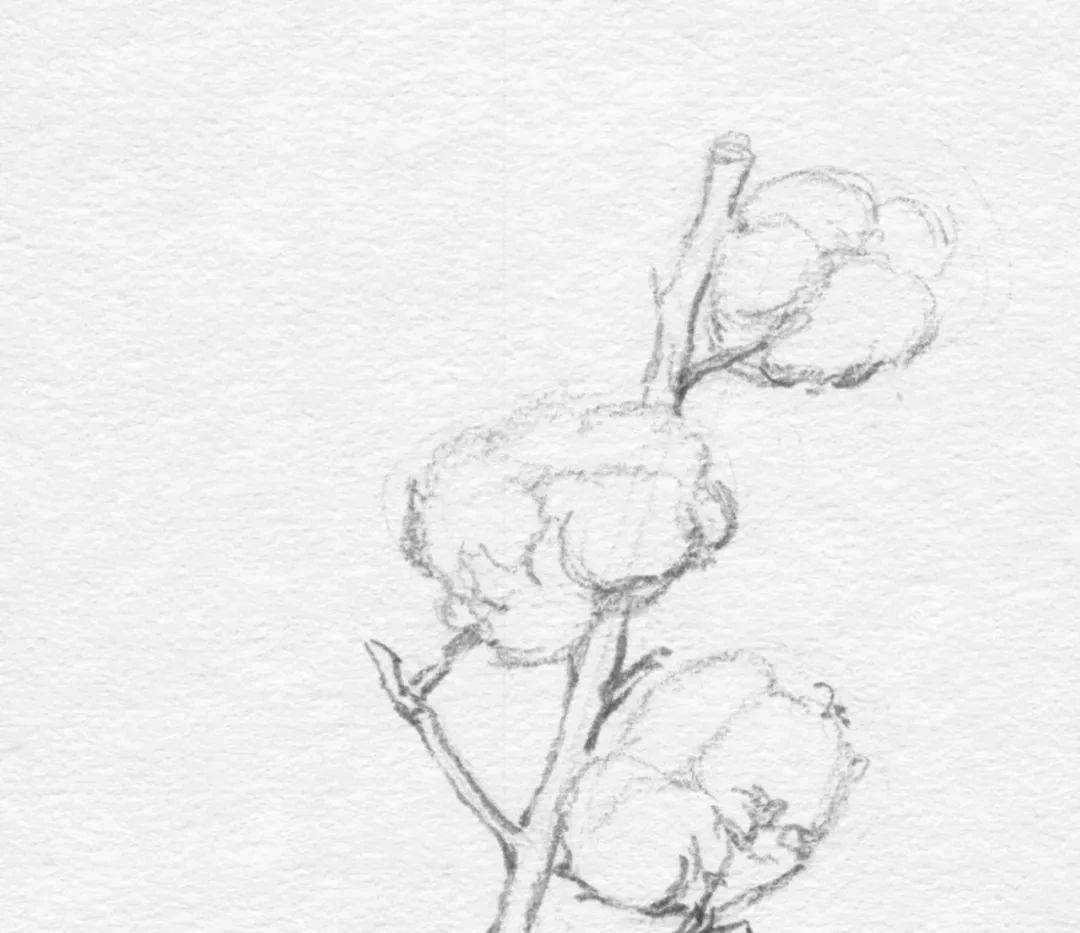 【推荐】如何自学素描视频教程|0基础素描画教学视频_手机搜狐网