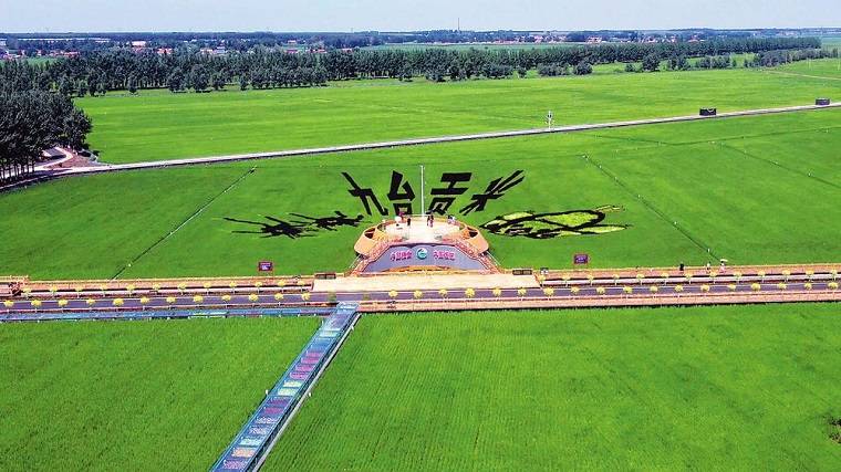 秋季邀你来长春市九台区红光村,尽享乡村稻作风光!