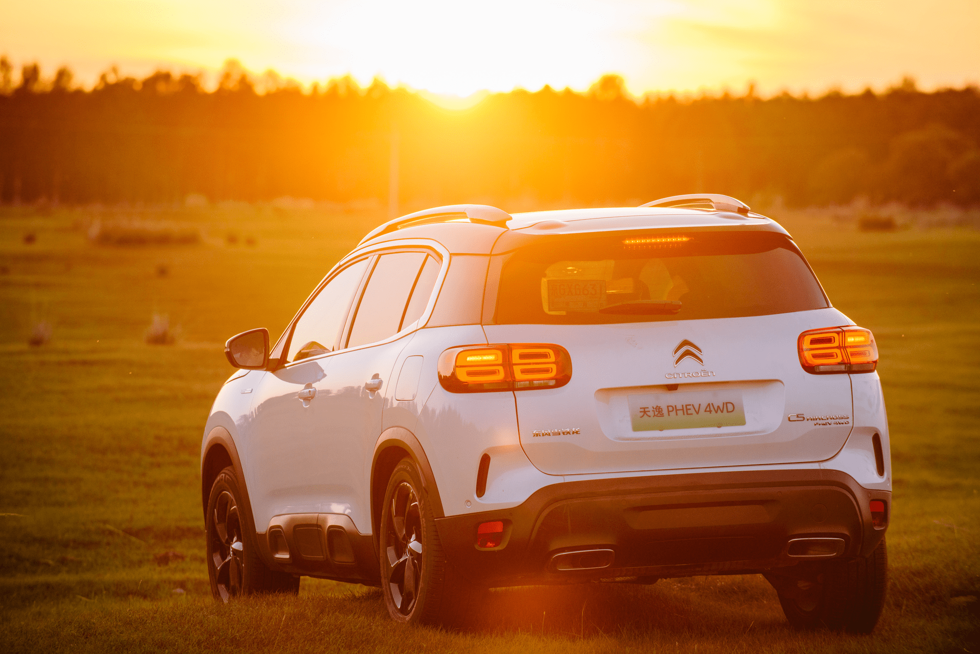 广袤草原 雪铁龙天逸phev一展内功心法