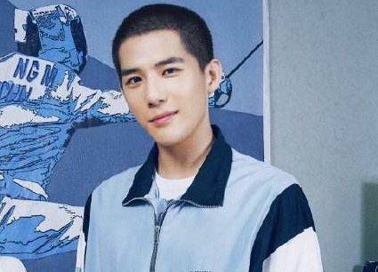 原创王安宁迷上深情男二?一个段振宇还不够,又出演《女世子》的男二