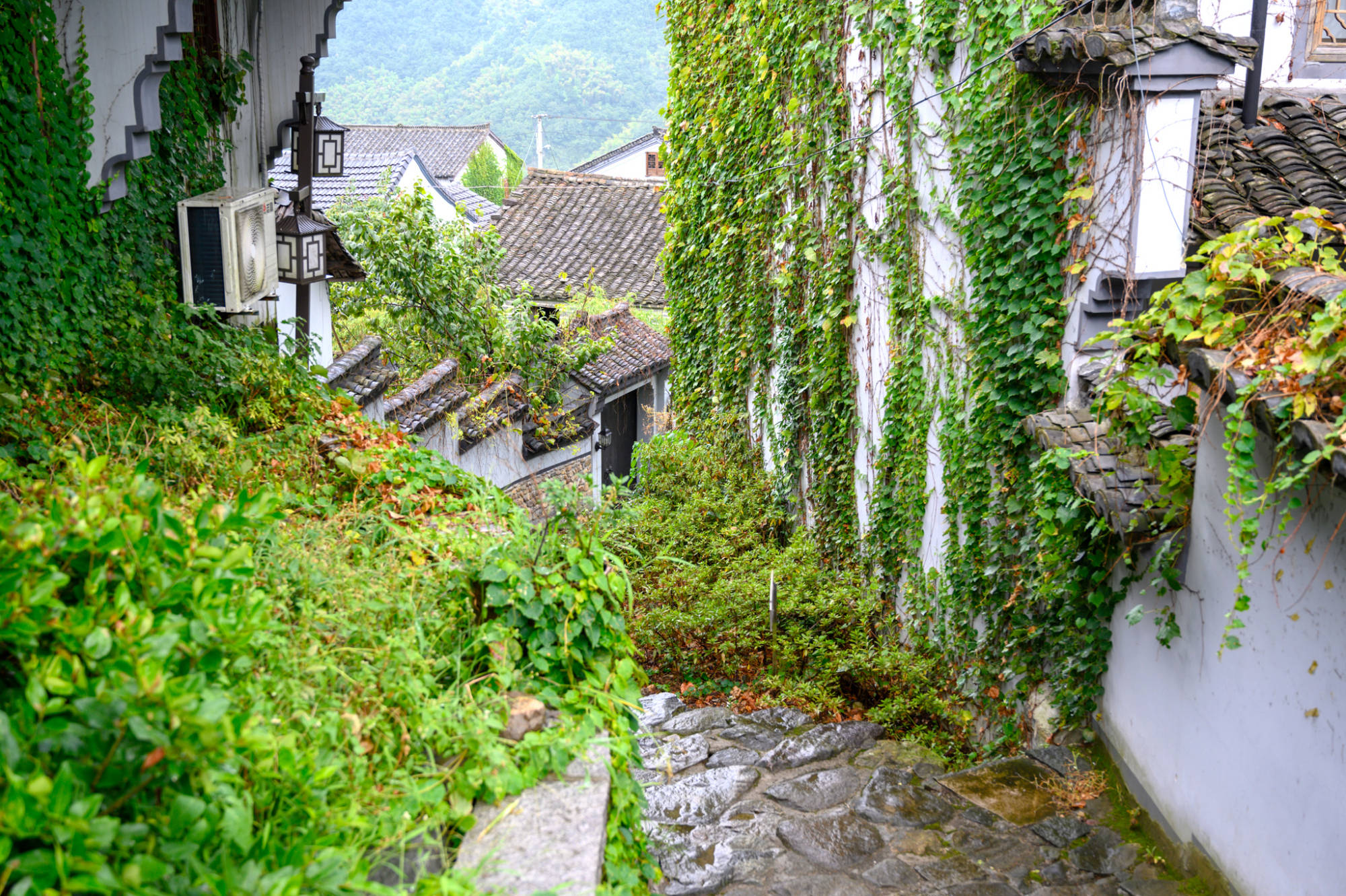 上虞东澄古村藏在覆卮山间的百年古村几乎没有任何的商业化