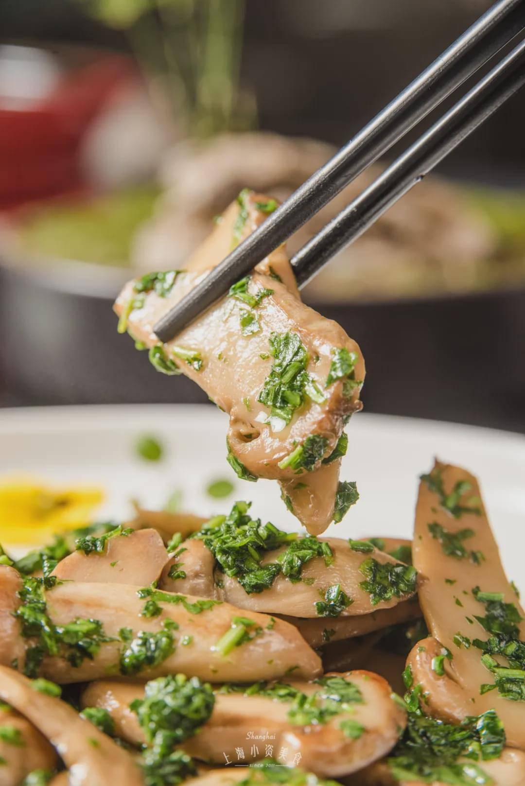 限时3个月,魔都网红私房菜松茸季上线!