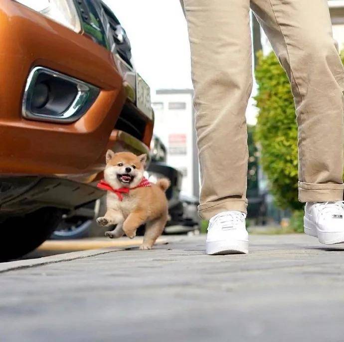 图片[21] - 【xizi被窝段子20200828】别跟往事干杯 往事都快吐了 - xizi