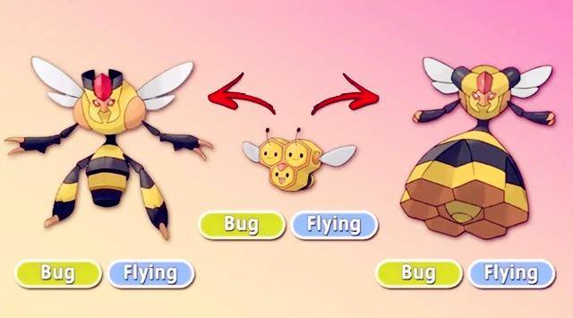 三蜜蜂进化图 雄性图片