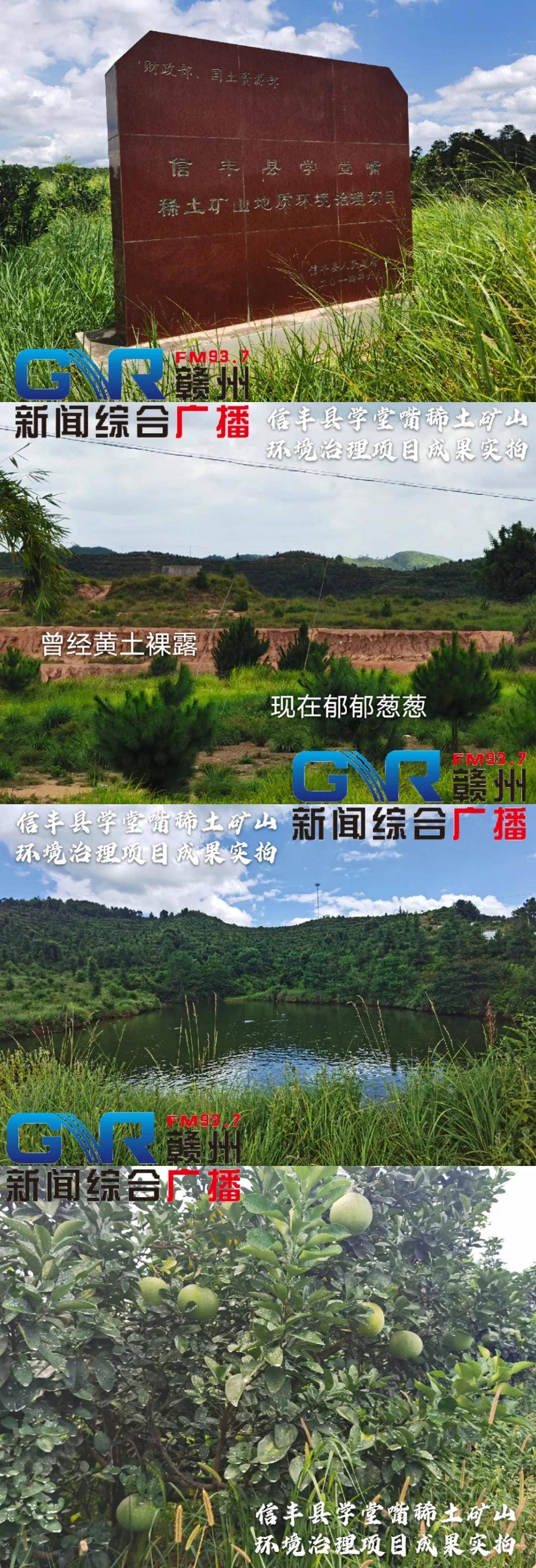 昔日光头山 今朝花果山 | 信丰县学堂嘴稀土矿山地质环境治理显成效！_项目