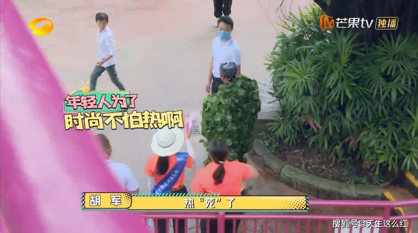 原创今年最好笑的综艺胡军杨洋领着一群男人天南海北地玩捉迷藏
