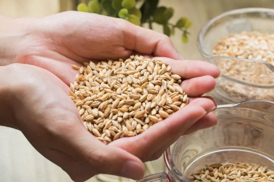 藏在科技园的精酿啤酒屋只卖1款酒麦芽香飘到50楼