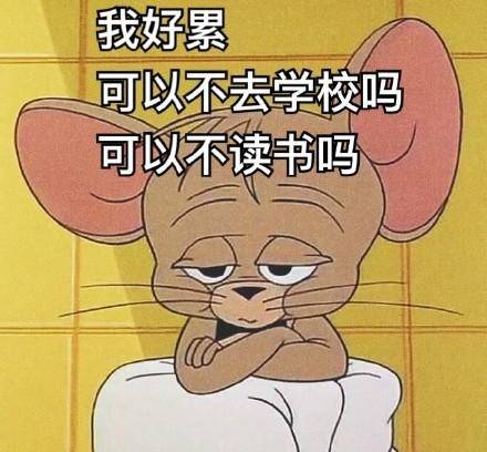 猫和老鼠开学系列表情包开开心心新学期认认真真搞学习