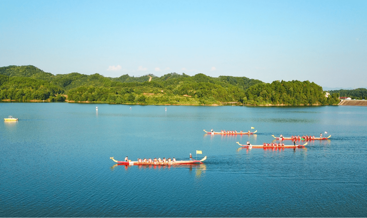  8月29日,在浏阳市赤马湖,随着鼓槌起落,鼓点带着4条龙舟小组在湖面