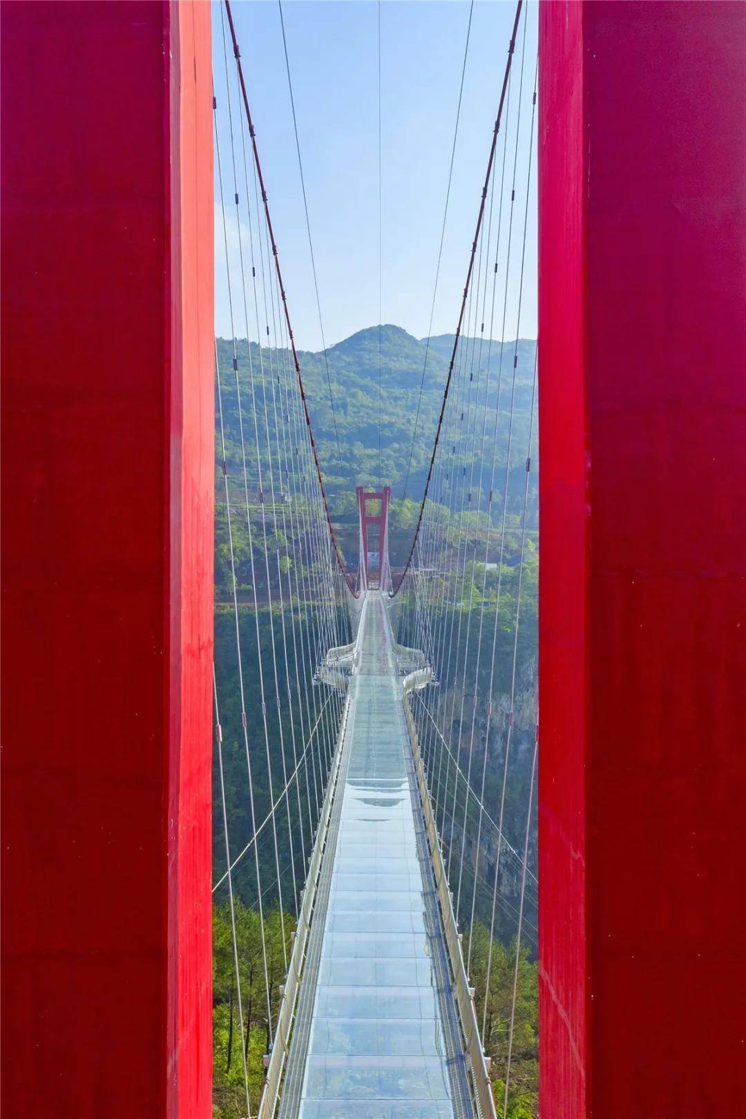自贡玫瑰海玻璃桥图片