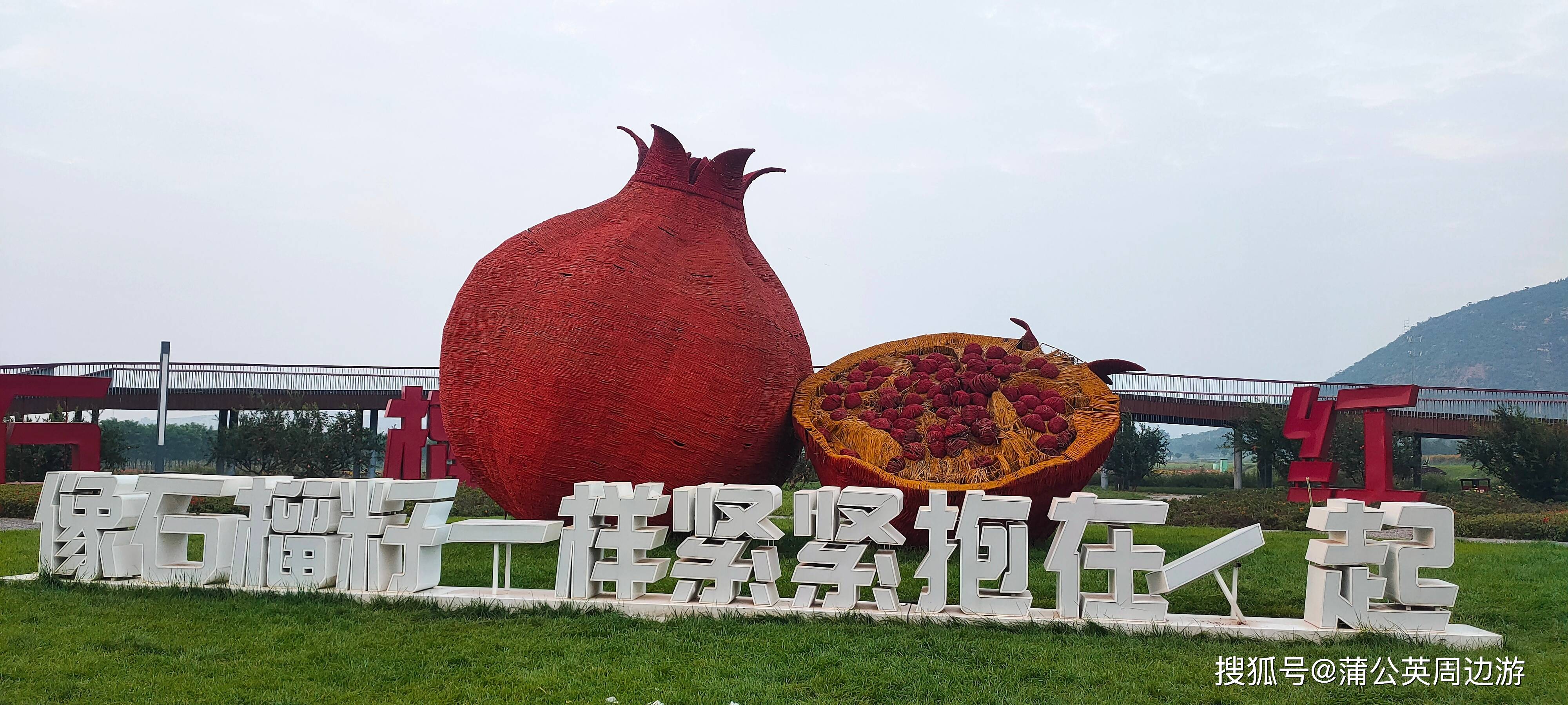 青山花海绿地这就是最适合石家庄人周末晨跑的水果主题公园