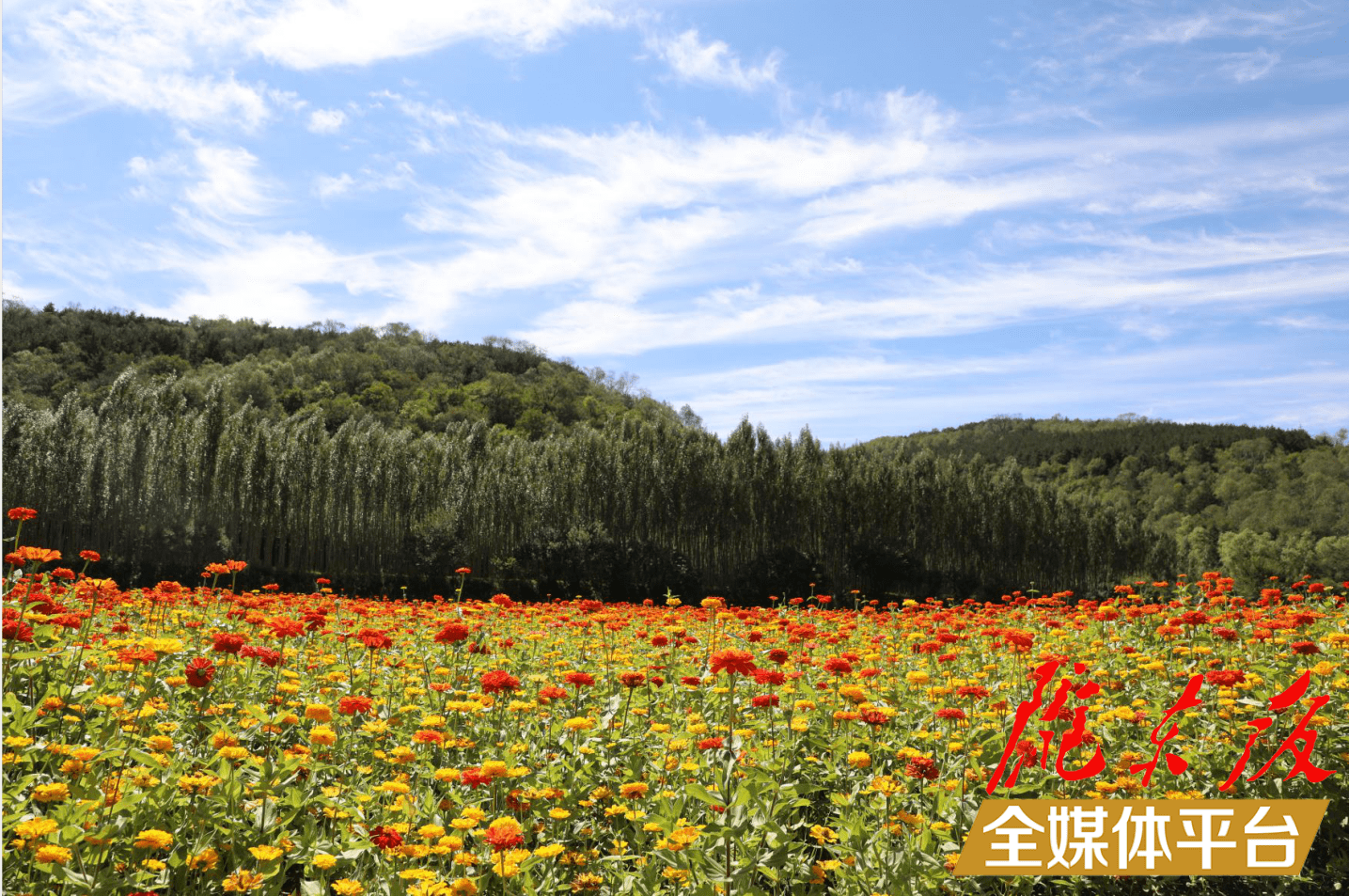 合水县太白镇旅游景点图片