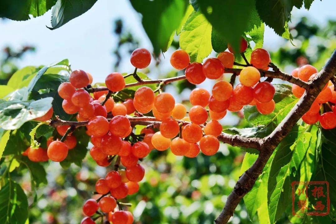 文旅创建 | 全省23个 德昌角半村入选第二批全国乡村旅游重点村