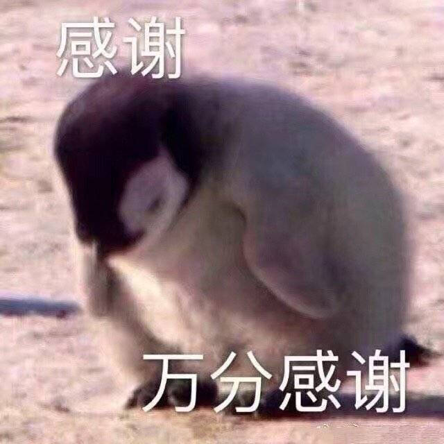 最新表情包图片:当别人帮助了你,是时候展示你的态度了