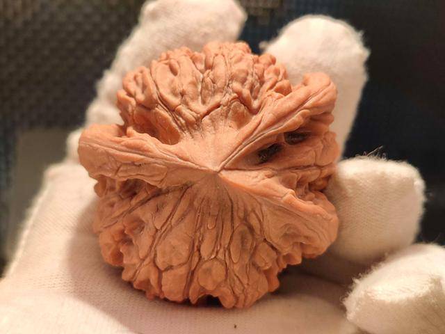 多棱的异形文玩核桃就一定是粘的么?不得不说现在异形比以前靠谱