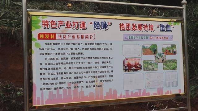 浮梁县寿安镇:扶贫小额信贷助力脱贫攻坚_手机搜狐网