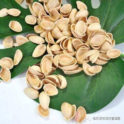 【垃圾分类】开心果果壳是什么垃圾?