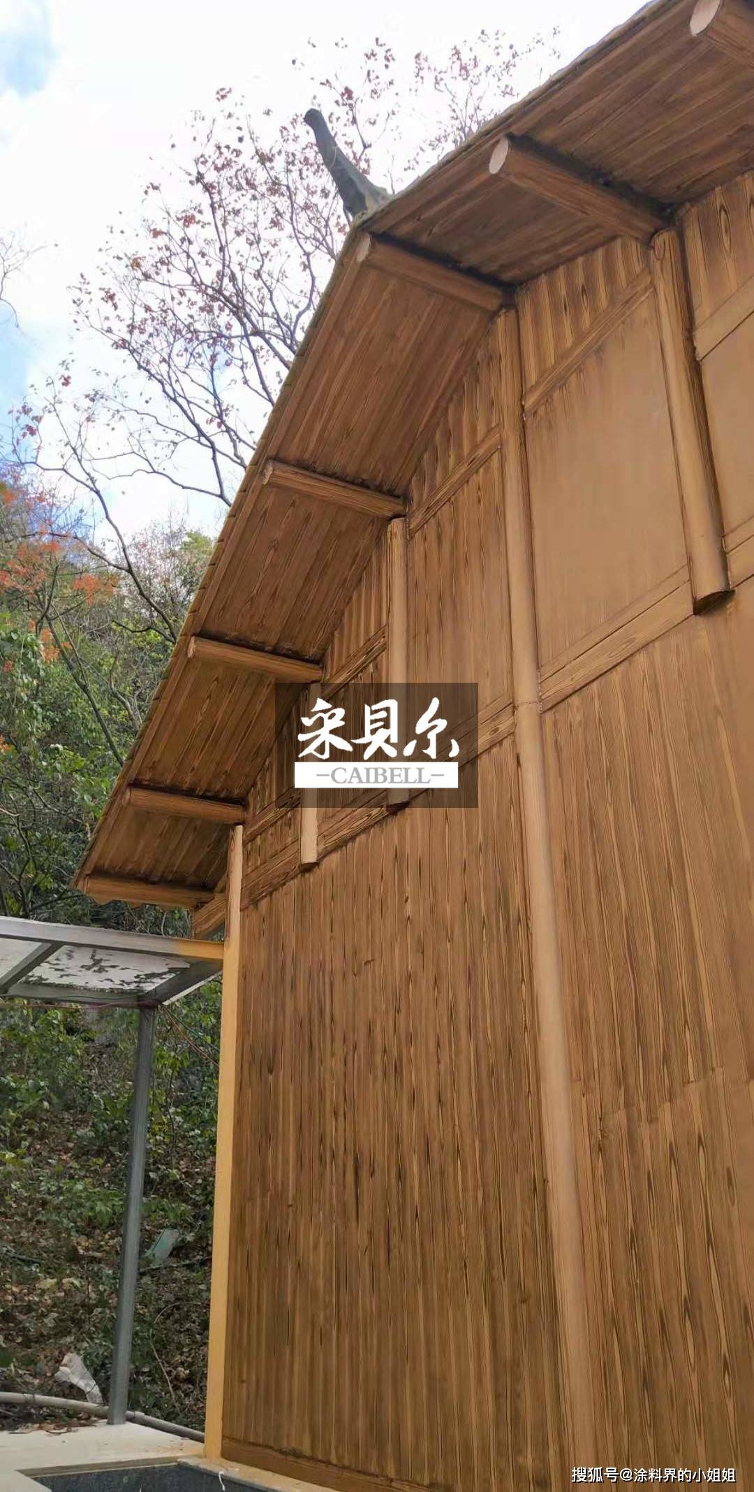 湖南木纹漆-搜狐大视野-搜狐新闻