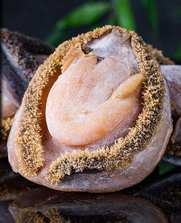 鲍鱼品种你都知道哪些那个品种的鲍鱼最好吃