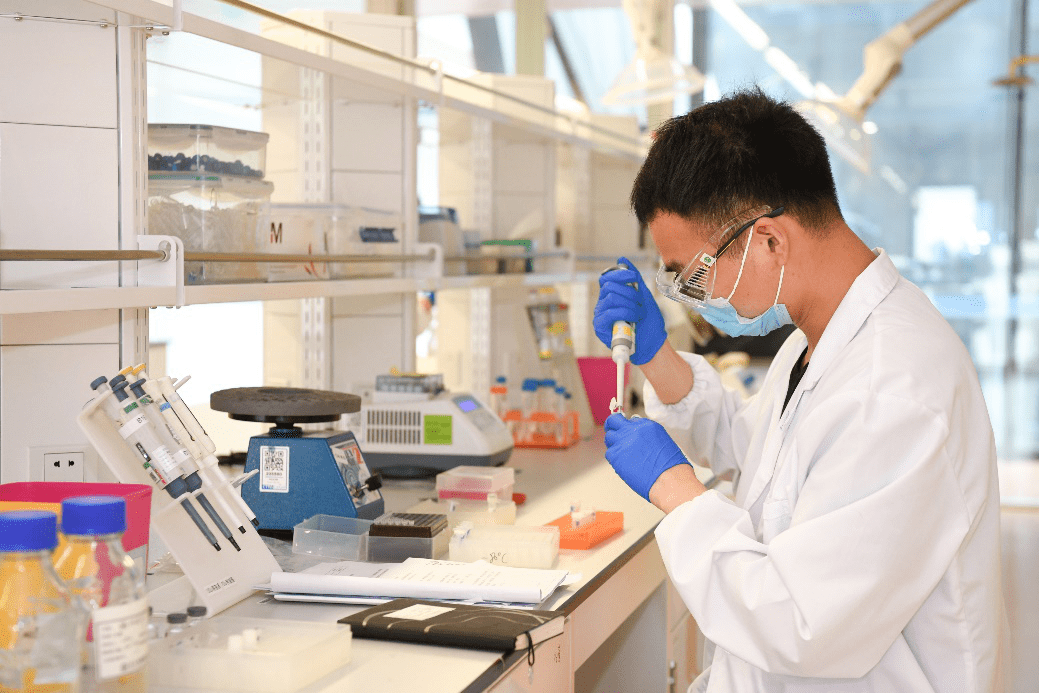 6月21日,备受业界关注的《2019中国药品研发实力排行榜》(包括总榜,化