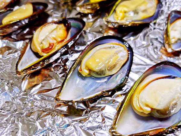 黄色为母的,白色是公的淡菜.排列在锡纸上.