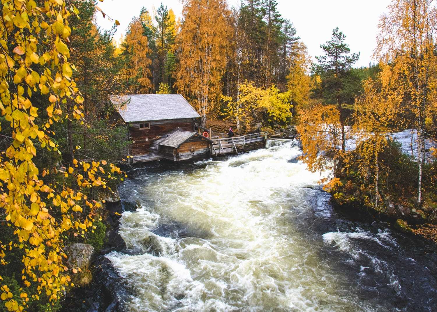芬兰奥兰卡国家公园