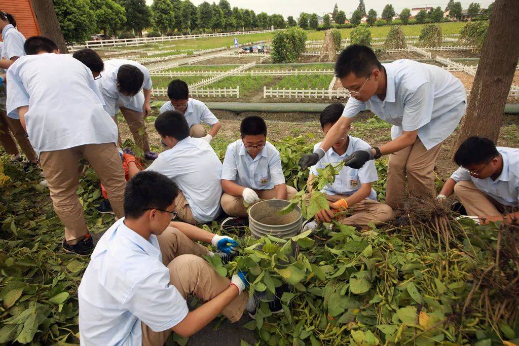 聆听由我校生物组彭春华老师的研究性学习讲座,然后观看了爱国主义