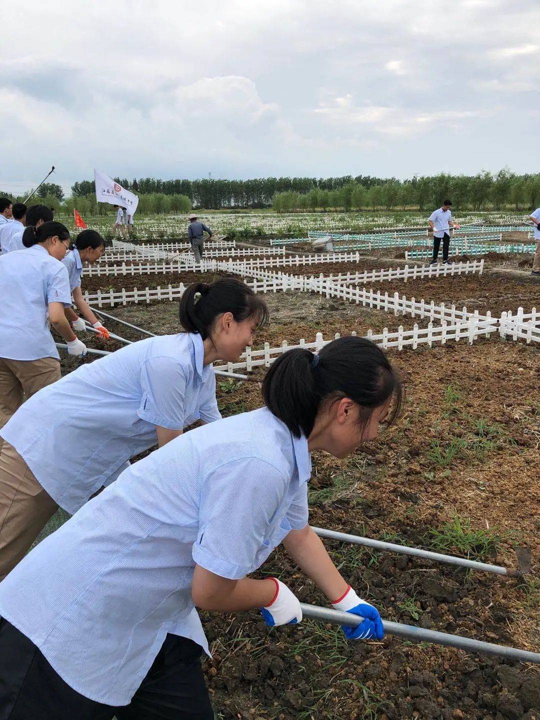 聆听由我校生物组彭春华老师的研究性学习讲座,然后观看了爱国主义