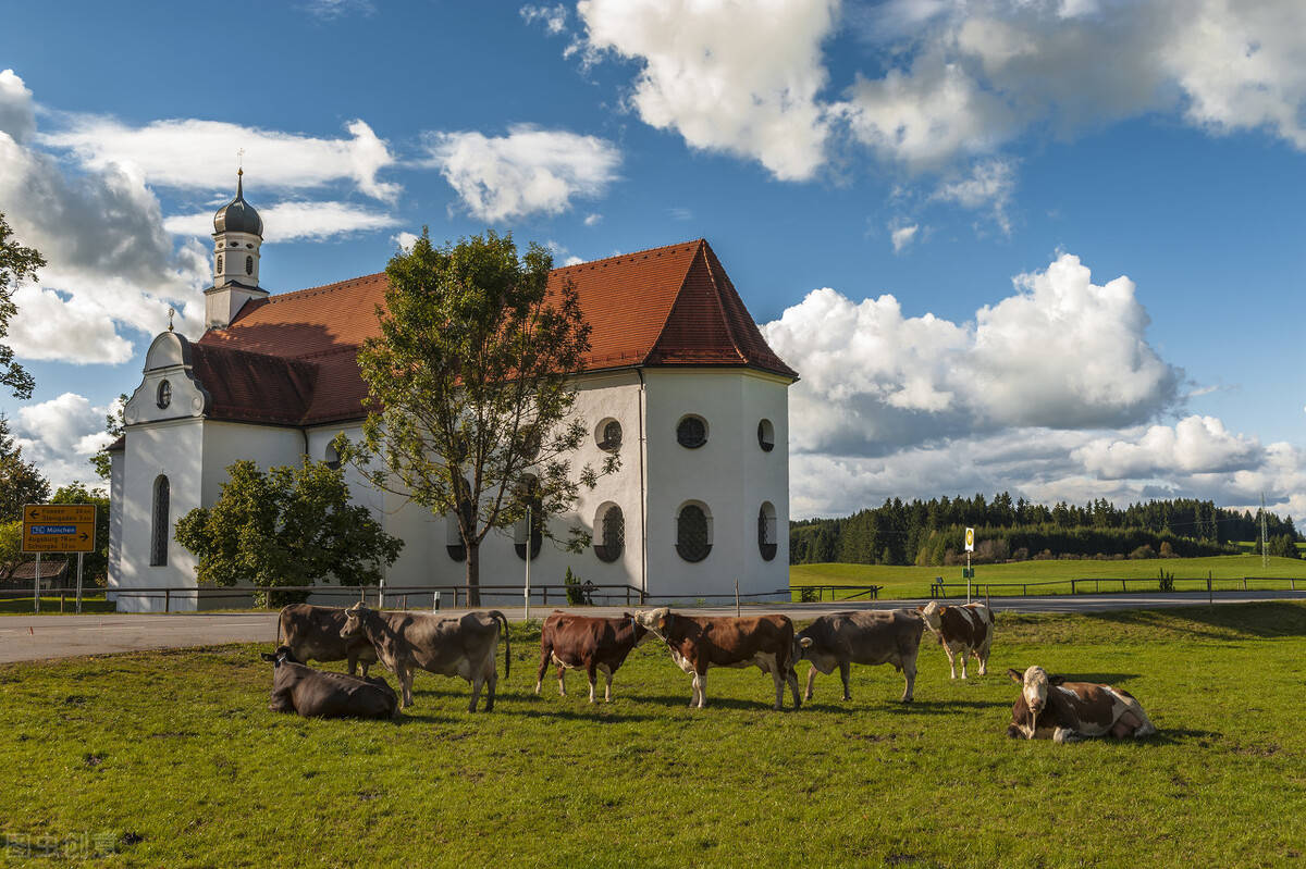 分析解剖!国外优秀的乡村振兴,美丽乡村案例!