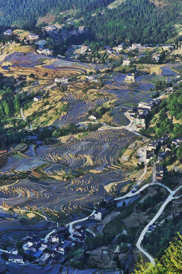 金秋时节重庆知名艺术家走进桐梓发现尧龙山风土之美