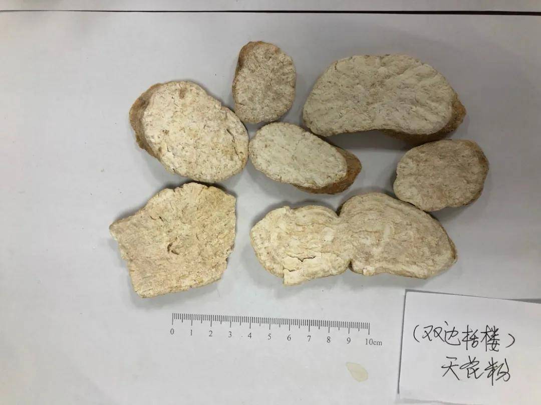从《诗经》里走出来的中药——瓜蒌_东山