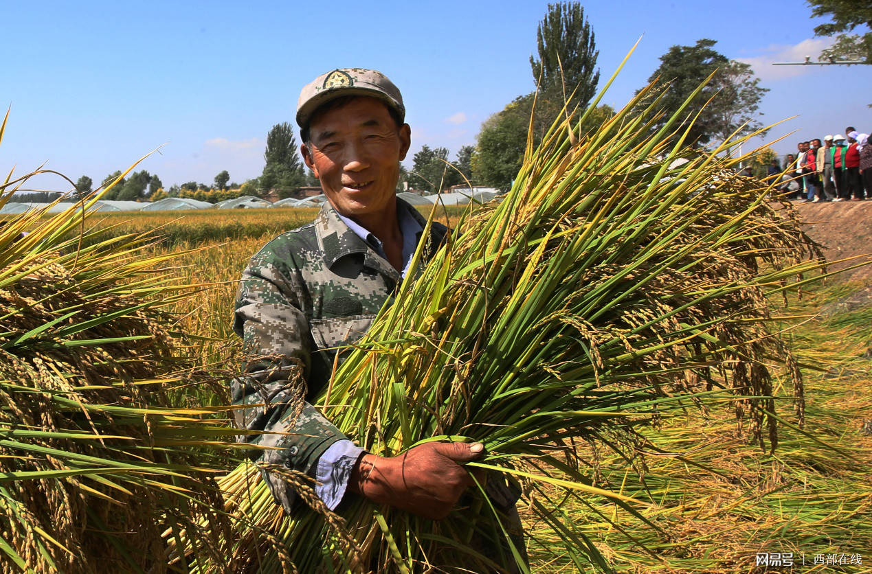 贡米之乡醉美叶盛第三届农民丰收节开幕