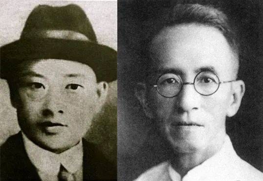 稀奇江阴快点来顾山红豆树时隔五年再次结籽啦