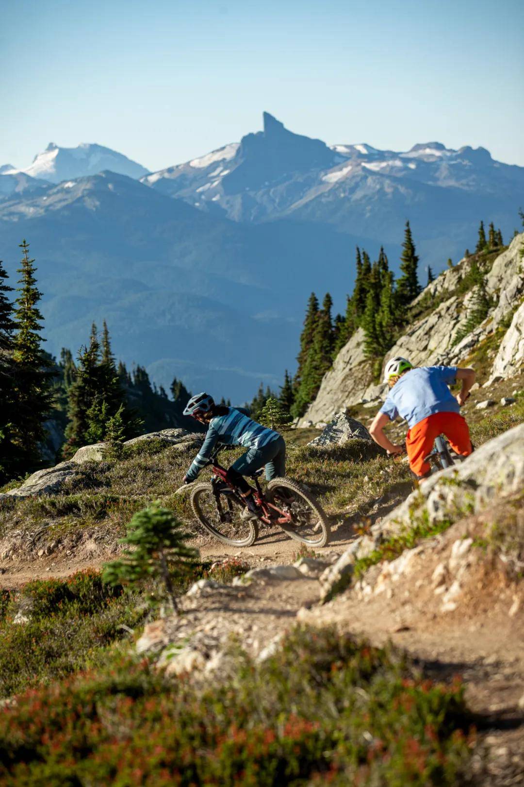 惠斯勒擁有全北美最大的山地車公園(whistler mountain bike park)