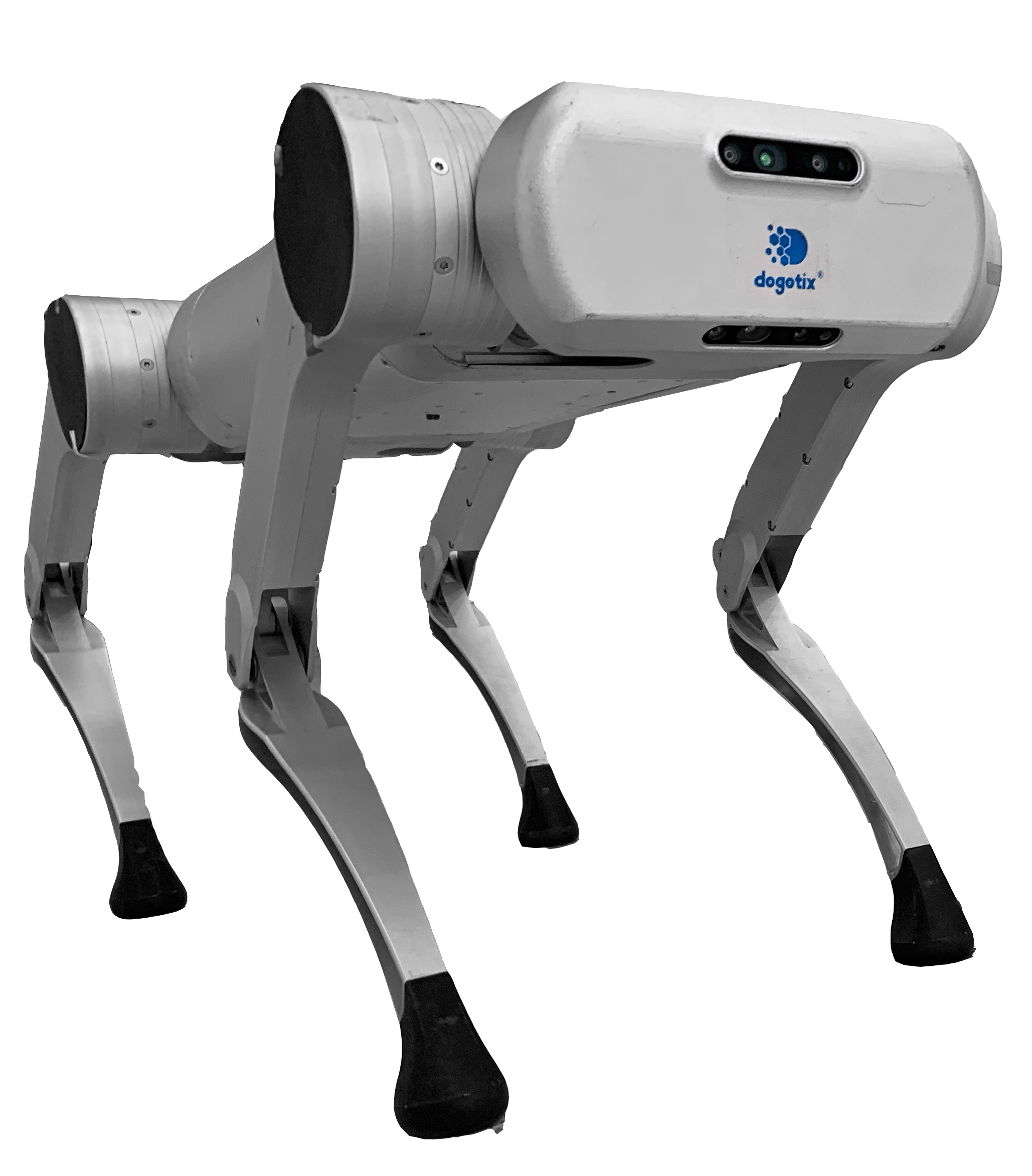 国产仿生四足机器人界的一次变革来了!