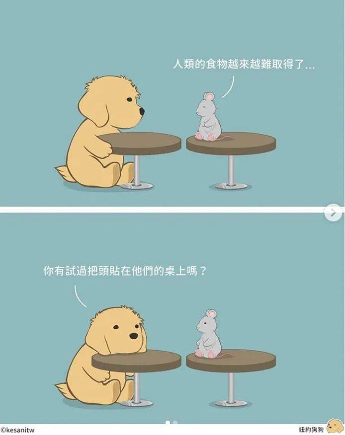 一本正经的搞笑最为致命这波无厘头漫画过于可爱了