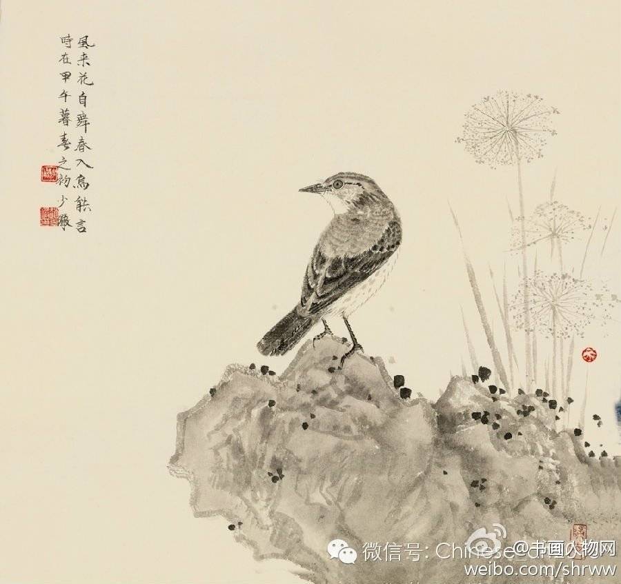 赵少俨花鸟画组图