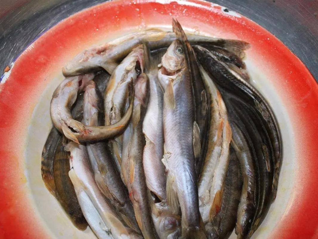 藏趣为什么绝大多数的西藏人民不吃鱼藏鲜达20200924093020