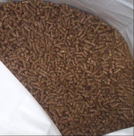 马吃的精饲料都有哪些呢?_手机搜狐网