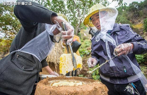如何生产优质美观的蜂巢蜜