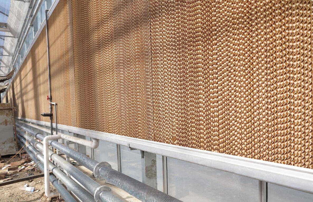 原创玻璃温室湿帘风机的降温原理