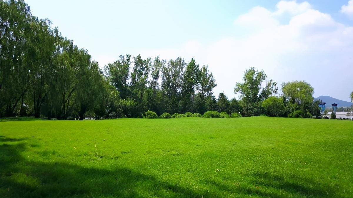 中国城市园林绿化行业协会:草坪养护经验分享