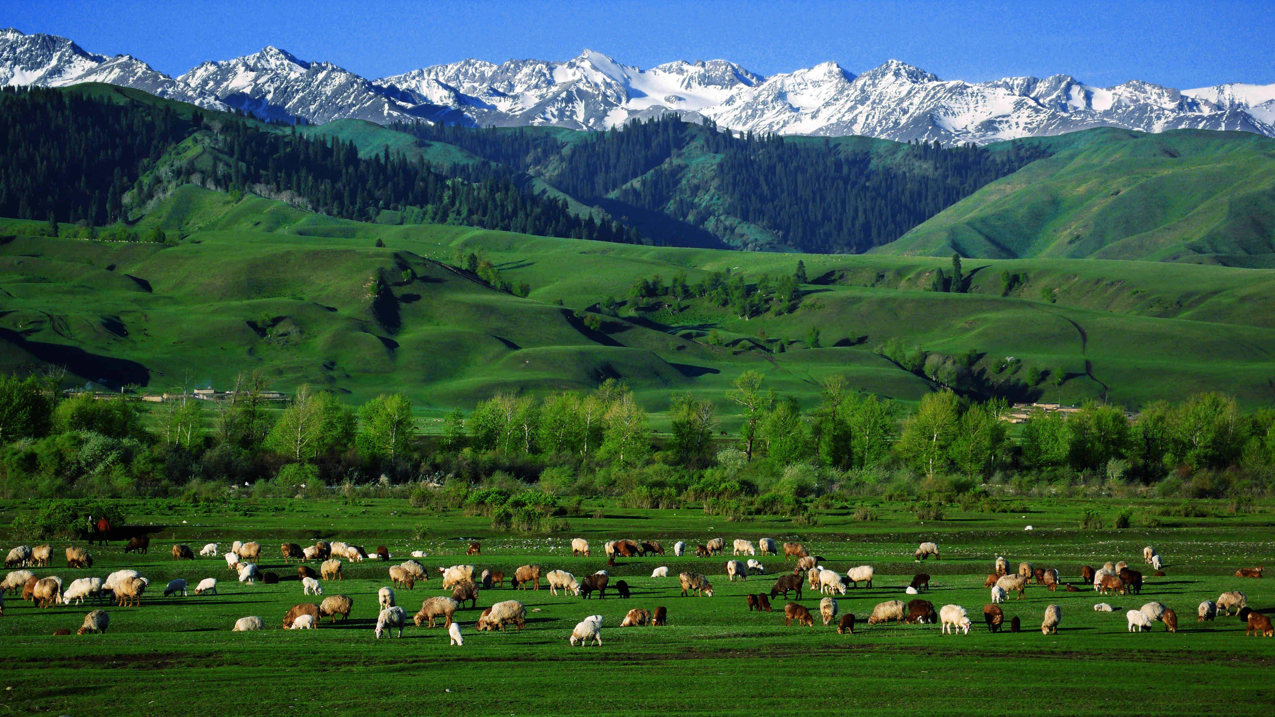 大美新疆你最值得去的十大景区上