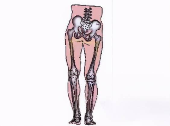 坐姿不正?小心长短腿