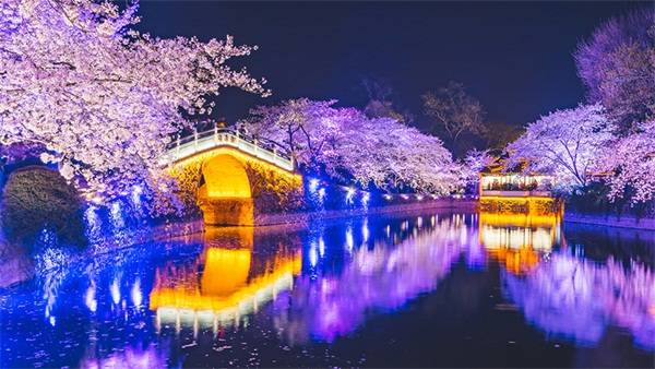 公园亮化工程设计要注意哪些事项明亮照明总结了三项技巧供您参考